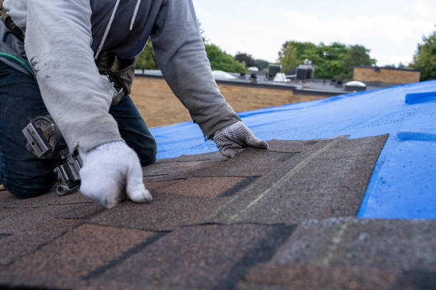 Best Storm Damage Roof Repair  in Corry, PA